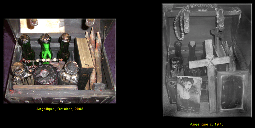 Crystobal_s_infamous_Vampire_Killing_Kit_-_Move_Over,_Buffy!_Take_A_Dirt_Nap,_Dracula!_-_2014-10-31_12.16.25